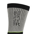 Dark Steel-Electric Lime - Side - Regatta Mens Samaris 2 Season Socks (Pack of 2)