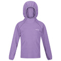 Light Amethyst-White - Front - Regatta Childrens-Kids Loco Micro-Stripe Hoodie