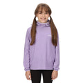 Light Amethyst-White - Back - Regatta Childrens-Kids Loco Micro-Stripe Hoodie