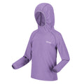 Light Amethyst-White - Pack Shot - Regatta Childrens-Kids Loco Micro-Stripe Hoodie