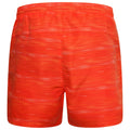 Trail Blaze Red - Lifestyle - Dare 2B Mens Retread Lightweight Shorts