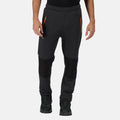 Seal Grey - Back - Regatta Mens Jeopardize Jogging Bottoms