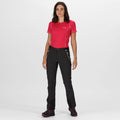Ash-Black - Back - Regatta Womens-Ladies Mountain III Walking Trousers