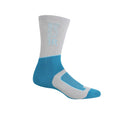 Light Steel-Niagra Blue - Back - Regatta Womens-Ladies Samaris 2 Season Boot Socks