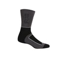 Briar Grey-Light Steel - Back - Regatta Womens-Ladies Samaris 2 Season Boot Socks