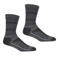 Briar Grey-Light Steel - Front - Regatta Womens-Ladies Samaris 3 Season Boot Socks