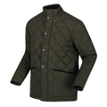 Dark Khaki - Lifestyle - Regatta Mens Londyn Quilted Insulated Jacket