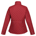 Cabernet - Back - Regatta Womens-Ladies Charleigh Quilted Insulated Jacket