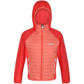 Fusion Coral-Neon Peach - Back - Regatta Childrens-Kids Kielder V Hybrid Insulated Jacket