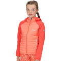 Fusion Coral-Neon Peach - Lifestyle - Regatta Childrens-Kids Kielder V Hybrid Insulated Jacket
