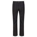Ash - Lifestyle - Regatta Childrens-Kids Sorcer Walking Trousers