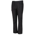 Ash - Pack Shot - Regatta Childrens-Kids Sorcer Walking Trousers
