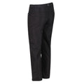 Ash - Close up - Regatta Childrens-Kids Sorcer Walking Trousers