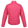 Fruit Dove - Back - Regatta Womens-Ladies Hillpack Padded Jacket