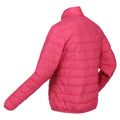 Fruit Dove - Lifestyle - Regatta Womens-Ladies Hillpack Padded Jacket