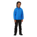 Imperial Blue - Pack Shot - Regatta Childrens-Kids Hillpack Quilted Insulated Jacket