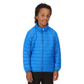 Imperial Blue - Close up - Regatta Childrens-Kids Hillpack Quilted Insulated Jacket