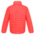 Neon Peach - Back - Regatta Childrens-Kids Hillpack Quilted Insulated Jacket