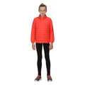 Neon Peach - Pack Shot - Regatta Childrens-Kids Hillpack Quilted Insulated Jacket