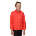 Neon Peach - Close up - Regatta Childrens-Kids Hillpack Quilted Insulated Jacket