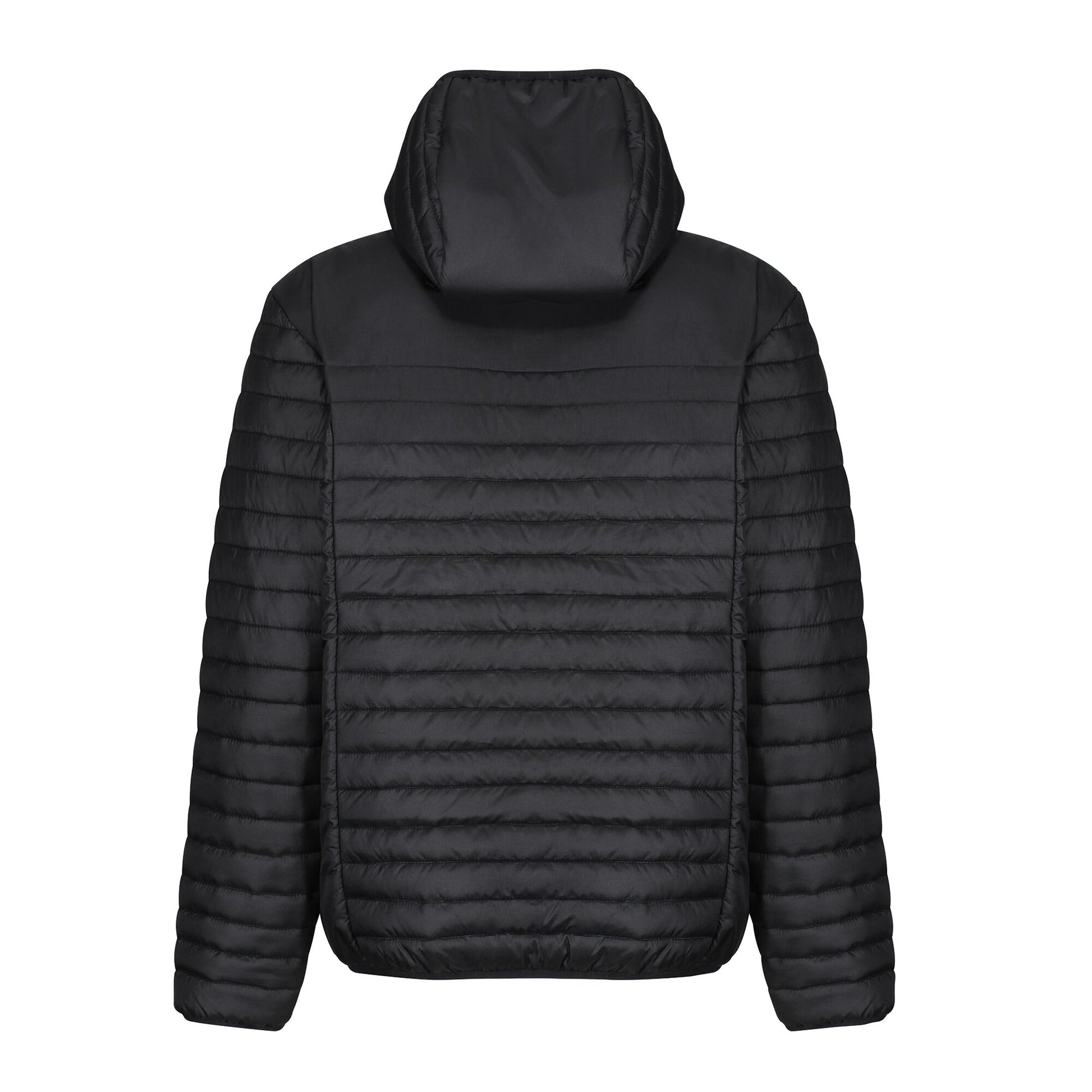 Black - Lifestyle - Regatta Professional Mens Padded Jacket