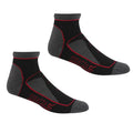 Black-Cherry Pink - Front - Regatta Womens-Ladies Samaris Trail Colour Block Ankle Socks (Pack of 2)