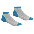 Light Steel-Niagra Blue - Front - Regatta Womens-Ladies Samaris Trail Colour Block Ankle Socks (Pack of 2)