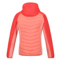 Fusion Coral-Neon Peach - Back - Regatta Womens-Ladies Andreson VI Insulated Jacket