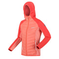 Fusion Coral-Neon Peach - Lifestyle - Regatta Womens-Ladies Andreson VI Insulated Jacket