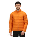 Fox - Pack Shot - Regatta Mens Hillpack Quilted Insulated Jacket