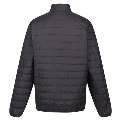 Ash-Orange Pepper - Back - Regatta Mens Hillpack Quilted Insulated Jacket