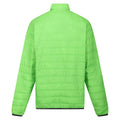 Jasmine Green-Field Green - Back - Regatta Mens Hillpack Quilted Insulated Jacket