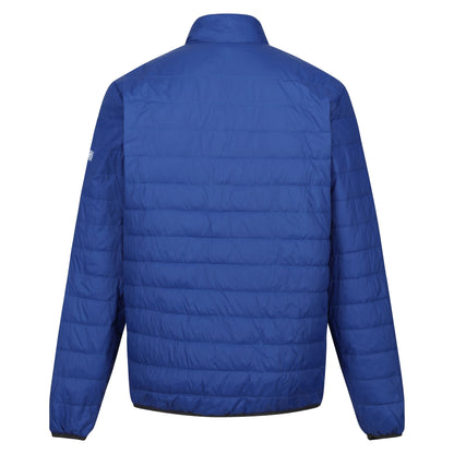 New Royal-Strong Blue - Back - Regatta Mens Hillpack Quilted Insulated Jacket