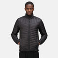 Black - Back - Regatta Professional Mens Hybrid Jacket