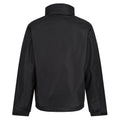 Black-Ash - Back - Regatta Mens Eco Dover Waterproof Insulated Jacket