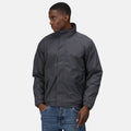 Seal Grey-Black - Back - Regatta Professional Mens Waterproof Insulated Jacket