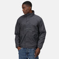 Seal Grey-Black - Back - Regatta Mens Eco Dover Waterproof Insulated Jacket