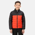 Cajun Orange-Black - Back - Regatta Childrens-Kids Freezeway III Insulated Padded Jacket