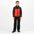 Cajun Orange-Black - Lifestyle - Regatta Childrens-Kids Freezeway III Insulated Padded Jacket