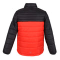 Cajun Orange-Black - Pack Shot - Regatta Childrens-Kids Freezeway III Insulated Padded Jacket