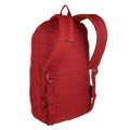 Delhi Red - Back - Regatta Backpack