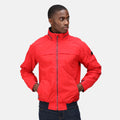 True Red - Back - Regatta Mens Finn Waterproof Jacket