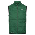 Eden - Front - Regatta Mens Hillpack Insulated Body Warmer