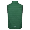 Eden - Back - Regatta Mens Hillpack Insulated Body Warmer