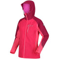 Rethink Pink-Wild Plum - Lifestyle - Regatta Womens-Ladies Highton Pro Waterproof Jacket