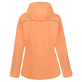 Papaya - Back - Regatta Womens-Ladies Highton Pro Waterproof Jacket