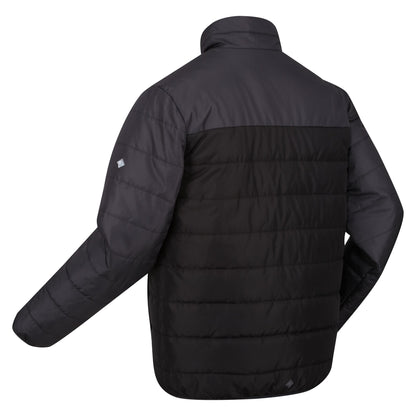 Ash-Black - Lifestyle - Regatta Mens Andrell Contrast Quilted Padded Jacket