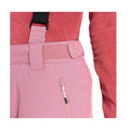 Mesa Rose - Close up - Dare 2B Womens-Ladies Effused II Waterproof Ski Trousers