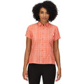 Fusion Coral - Back - Regatta Womens-Ladies Mindano VI Checked Short-Sleeved Shirt