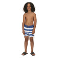 Lapis Blue - Lifestyle - Regatta Boys Skander II Striped Swim Shorts